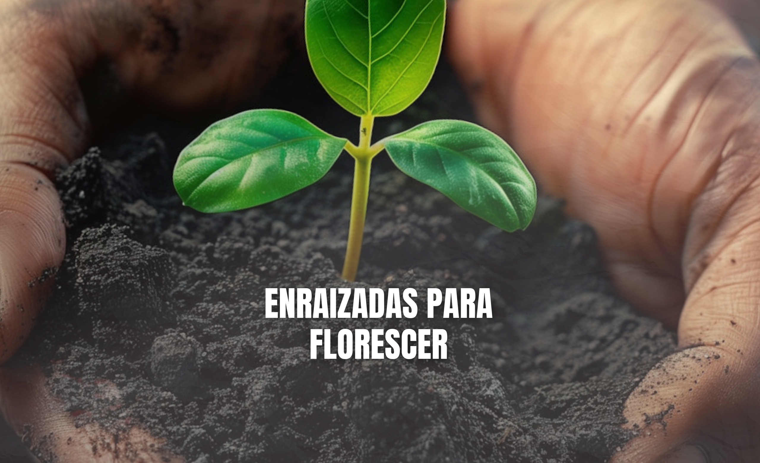 ENRAIZADAS PARA FLORESCER