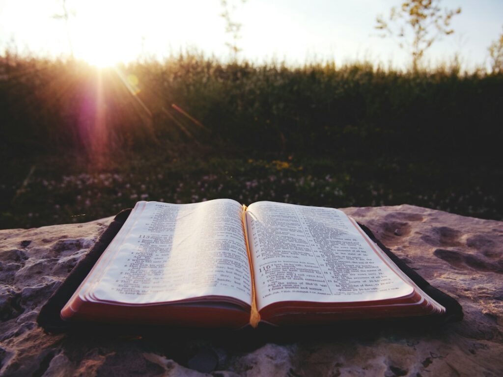 Página aberta para estudo bíblico sobre o reinado de Cristo — lição 11